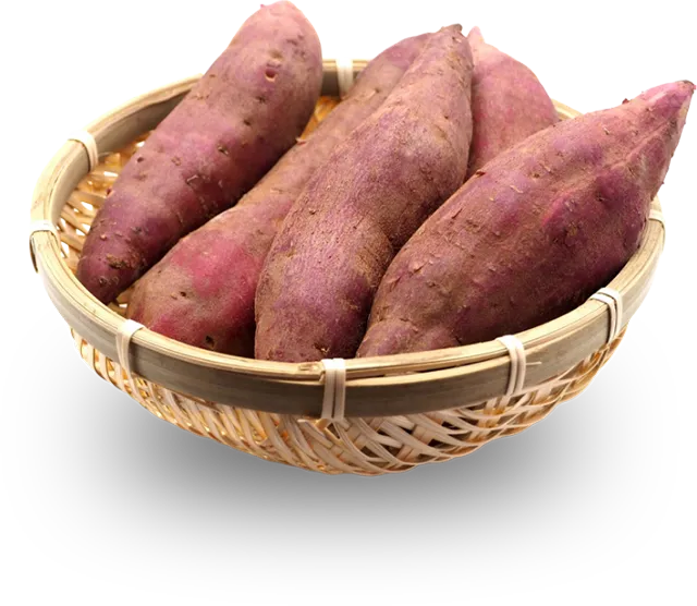 農園事業3